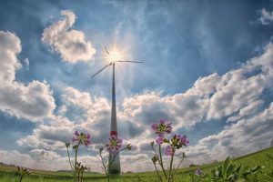 Wij voeren namens zeventien gemeenten en de provincie Noord-Holland diverse milieutaken uit. Denk hierbij aan thema's als energie, duurzaamheid, luchtkwaliteit, kwaliteit van de bodem, geluid, veiligheid en flora & fauna